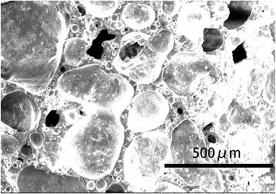 Investigations on the preparation of ceramsite from petrochemical excess sludge